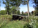 Silniční most přes Tichou Orlici v obci Plchovice.
