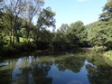 Řeka Tichá Orlice v osadě Bezpráví.